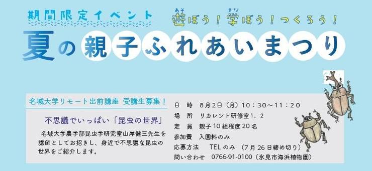 【受付終了】【8/2】不思議でいっぱい「昆虫の世界」