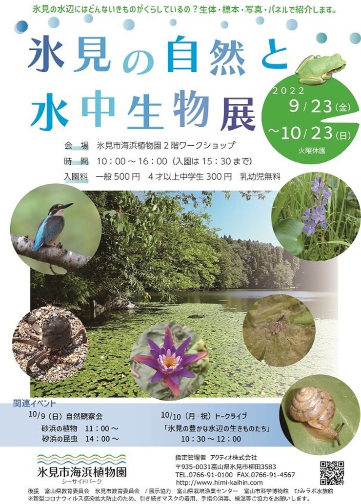 氷見の自然と水中生物展　開催中