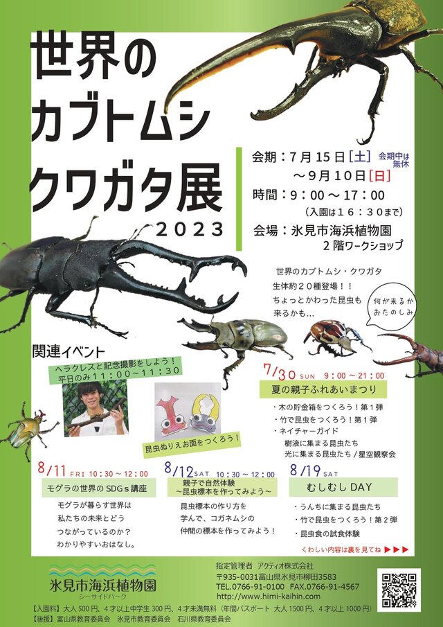 世界のカブトムシ✕クワガタ展：イベント＆体験 | 氷見海浜植物園