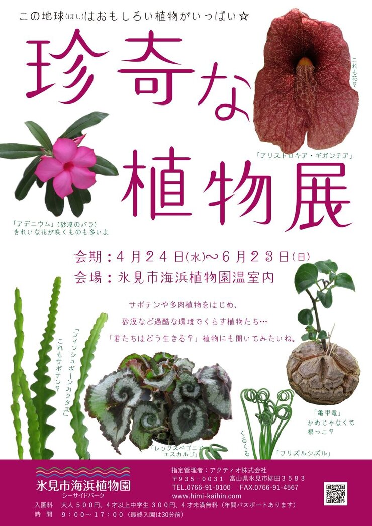 【開催終了】企画展「珍奇な植物展」