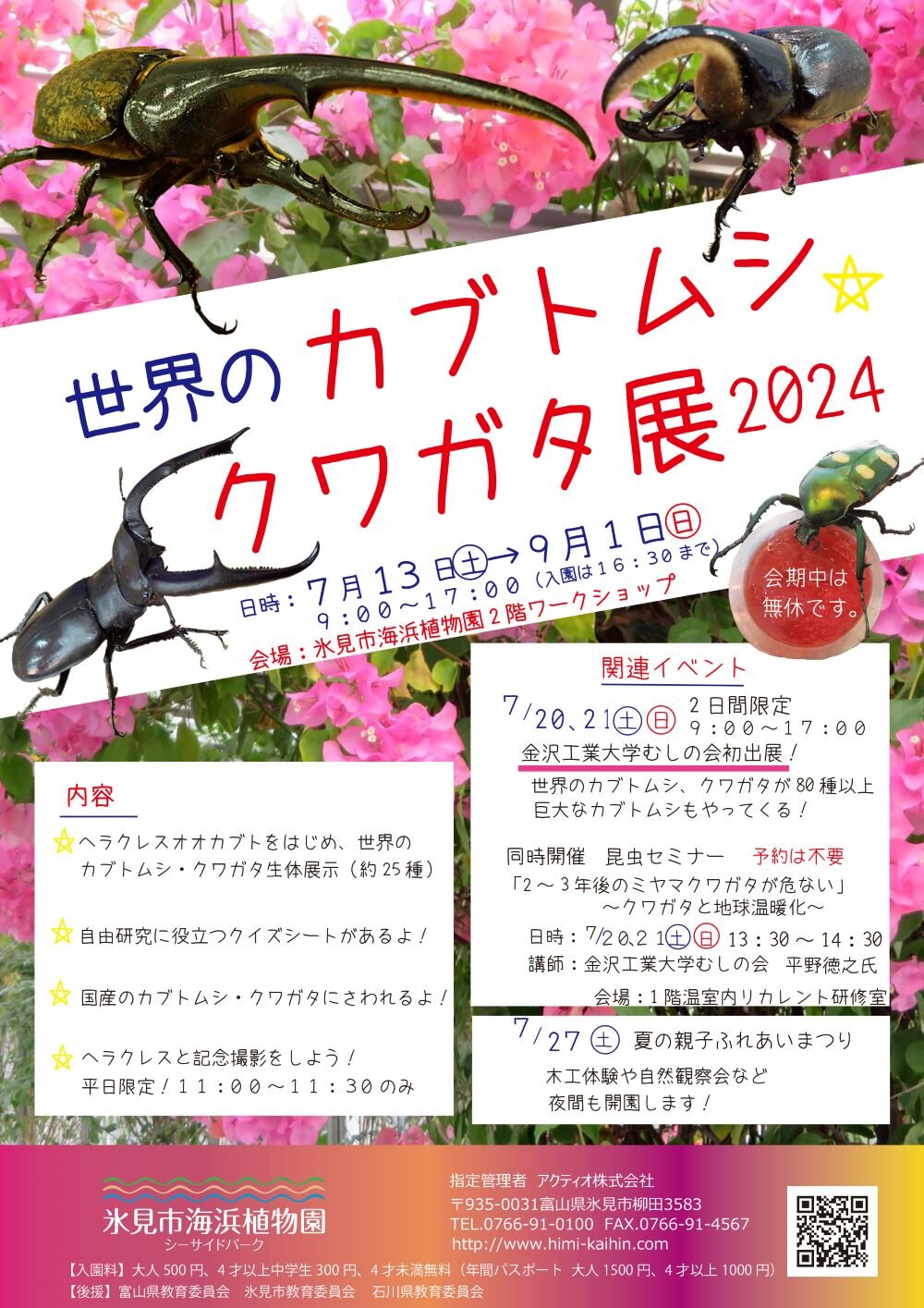 世界のカブクワ2024 修正.jpg