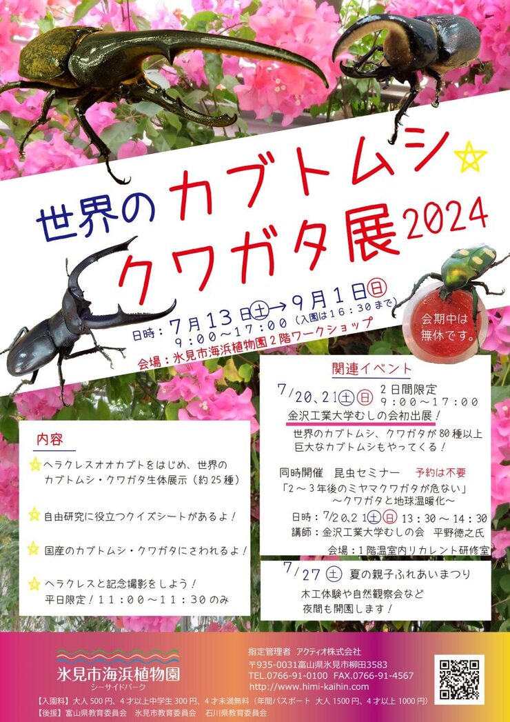 世界のカブトムシｘクワガタ展2024