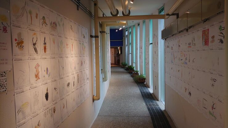 夏のスケッチ展
