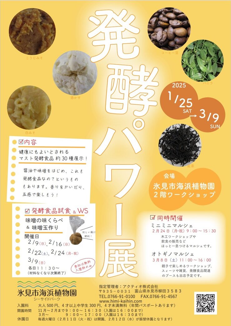 【企画展示】発酵パワー展