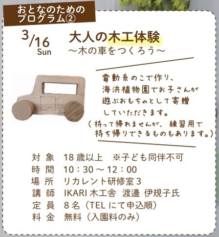 大人の木工体験～木の車をつくろう～：イベント＆体験 | 氷見海浜