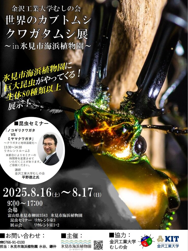 KITむしの会/世界のカブトムシ・クワガタムシ展in氷見市海浜植物園