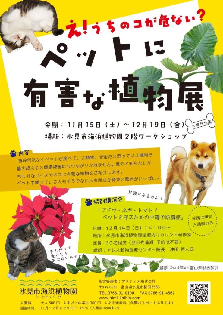 え！うちのコが危ない？ペットに有害な植物展