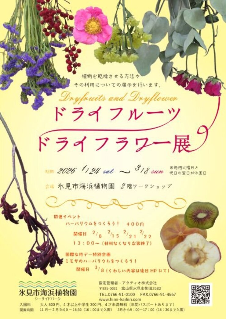 ドライフルーツ・ドライフラワー展