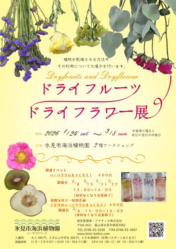 ドライフルーツ・ドライフラワー展：イベント＆体験 | 氷見海浜植物園