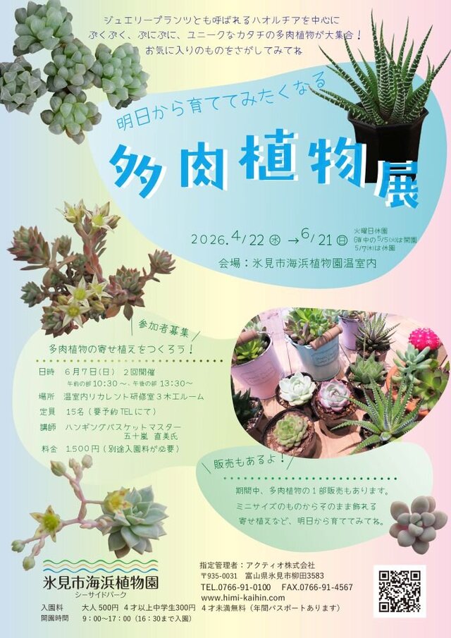 明日から育ててみたくなる多肉植物展：イベント＆体験 | 氷見海浜