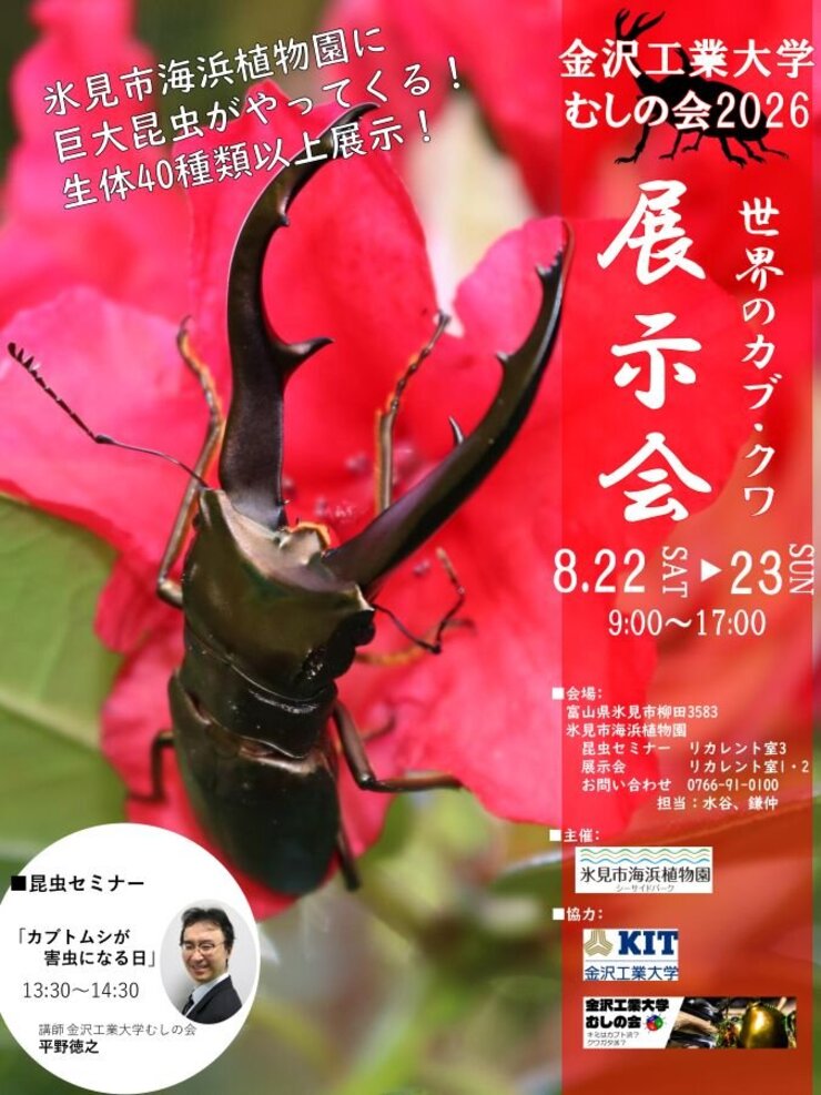 金沢工業大学むしの会　世界のカブ・クワ展示会