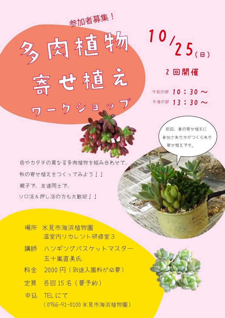 多肉植物寄せ植えワークショップ