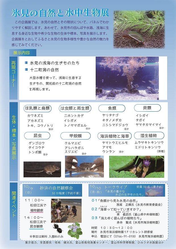 氷見市海浜植物園「氷見の水中生物展」_チラシ裏.jpg