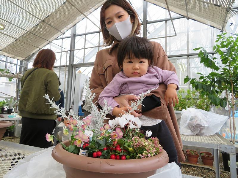 かいほうきっず寄せ植え (9).jpg