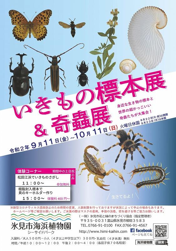 生き物標本展＆奇虫展2020.jpg