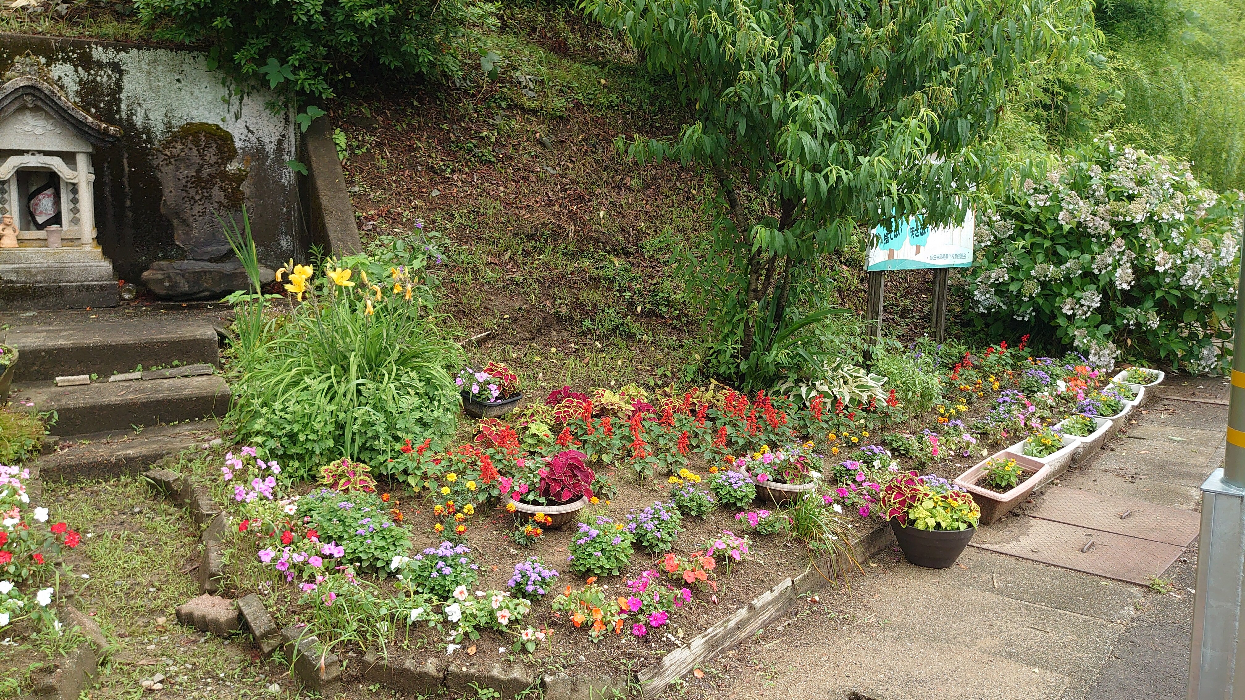 DSC_3749.JPG