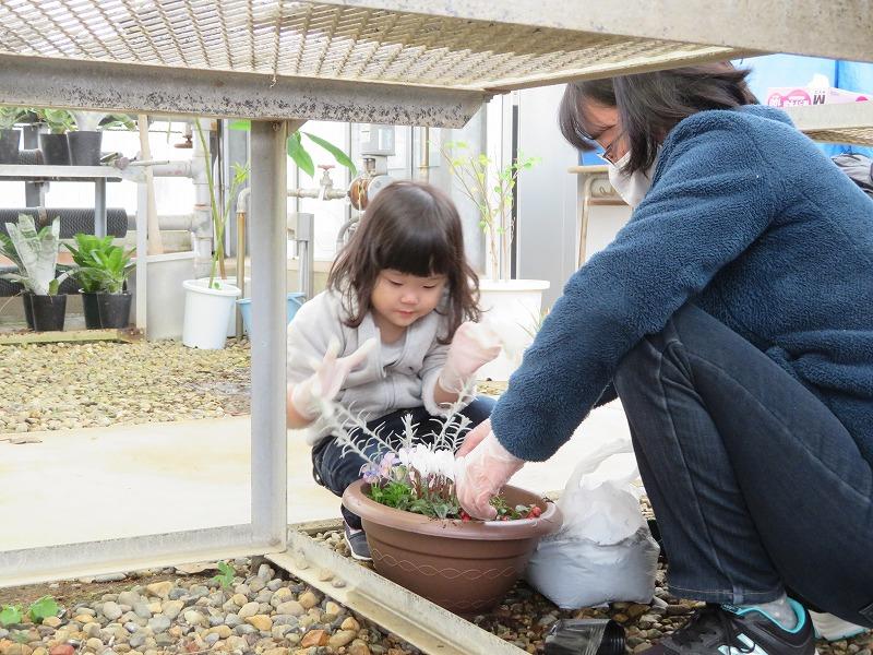 かいほうきっず寄せ植え (3).jpg