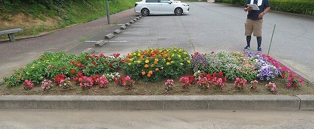s-s-s-IMG_0725.jpg